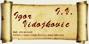 Igor Vidojković vizit kartica